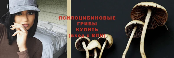 эйфоретик Алексин