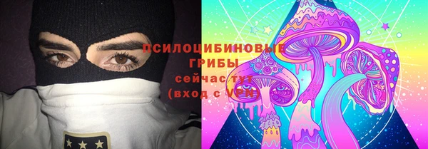 амф Абдулино