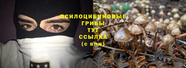mix Абаза