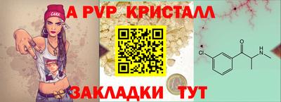 ECSTASY Канаш