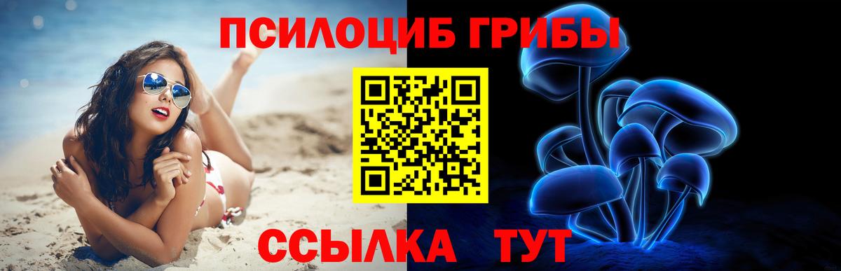 Заволжье  купить закладку  Галлюциногенные грибы MAGIC MUSHROOMS  Вход с VPN  Галлюциногенные грибы Magic Shrooms 